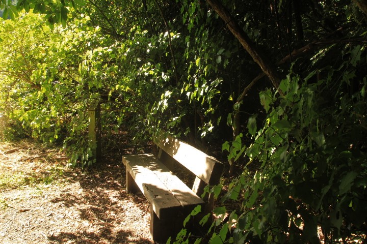 Seat at Wilf Mexted Reserve