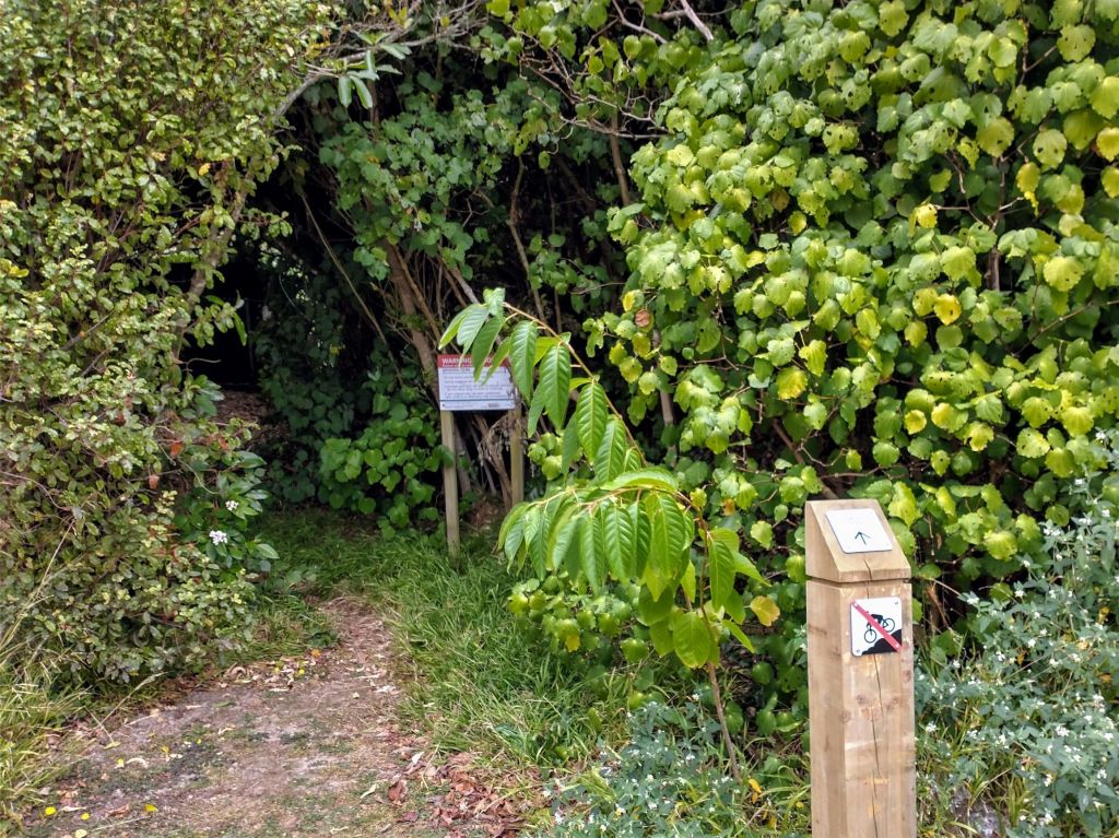 St Anne's Reserve Pathway