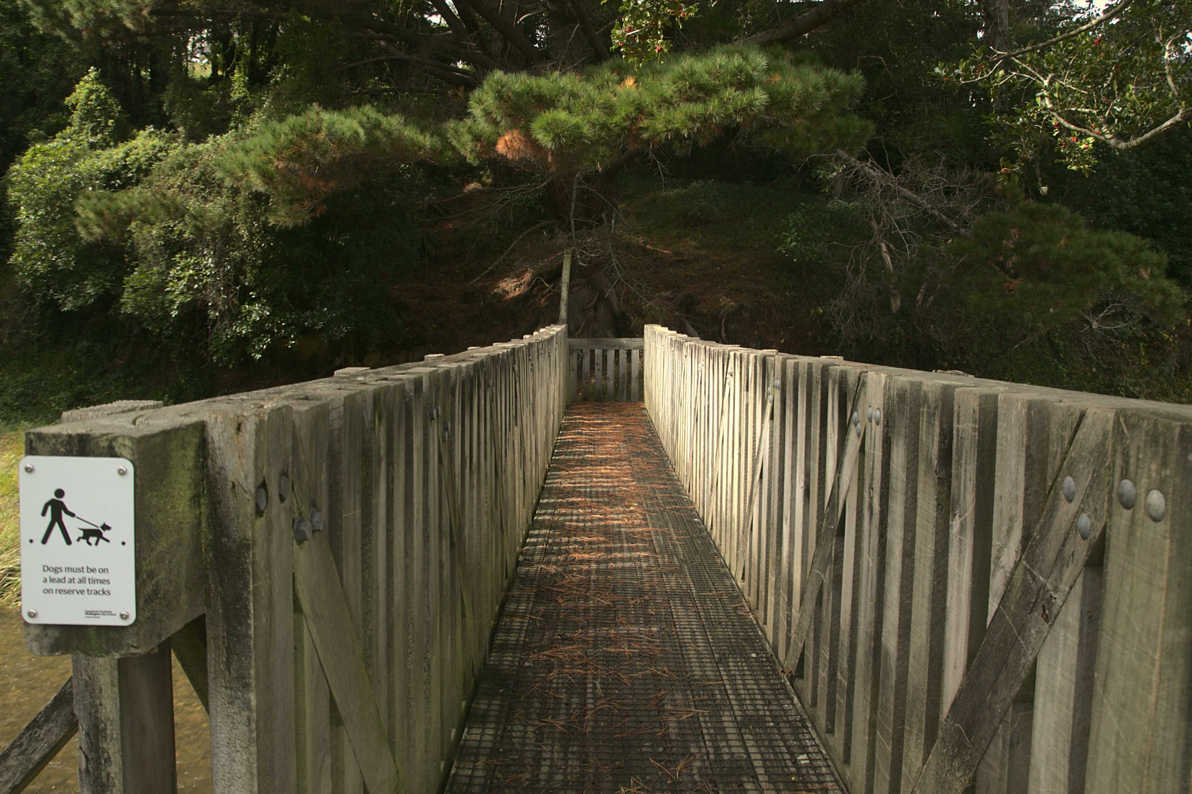 Porirua Stream and bridge, Willowbank Reserve