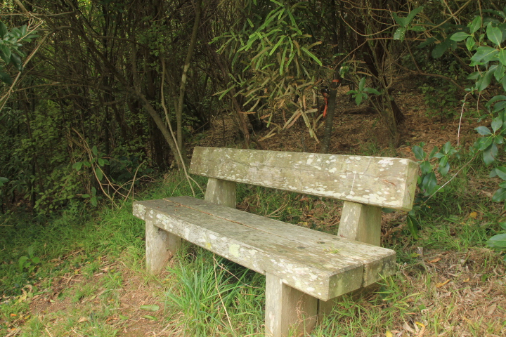 Charles Duncan Reserve lookout seat