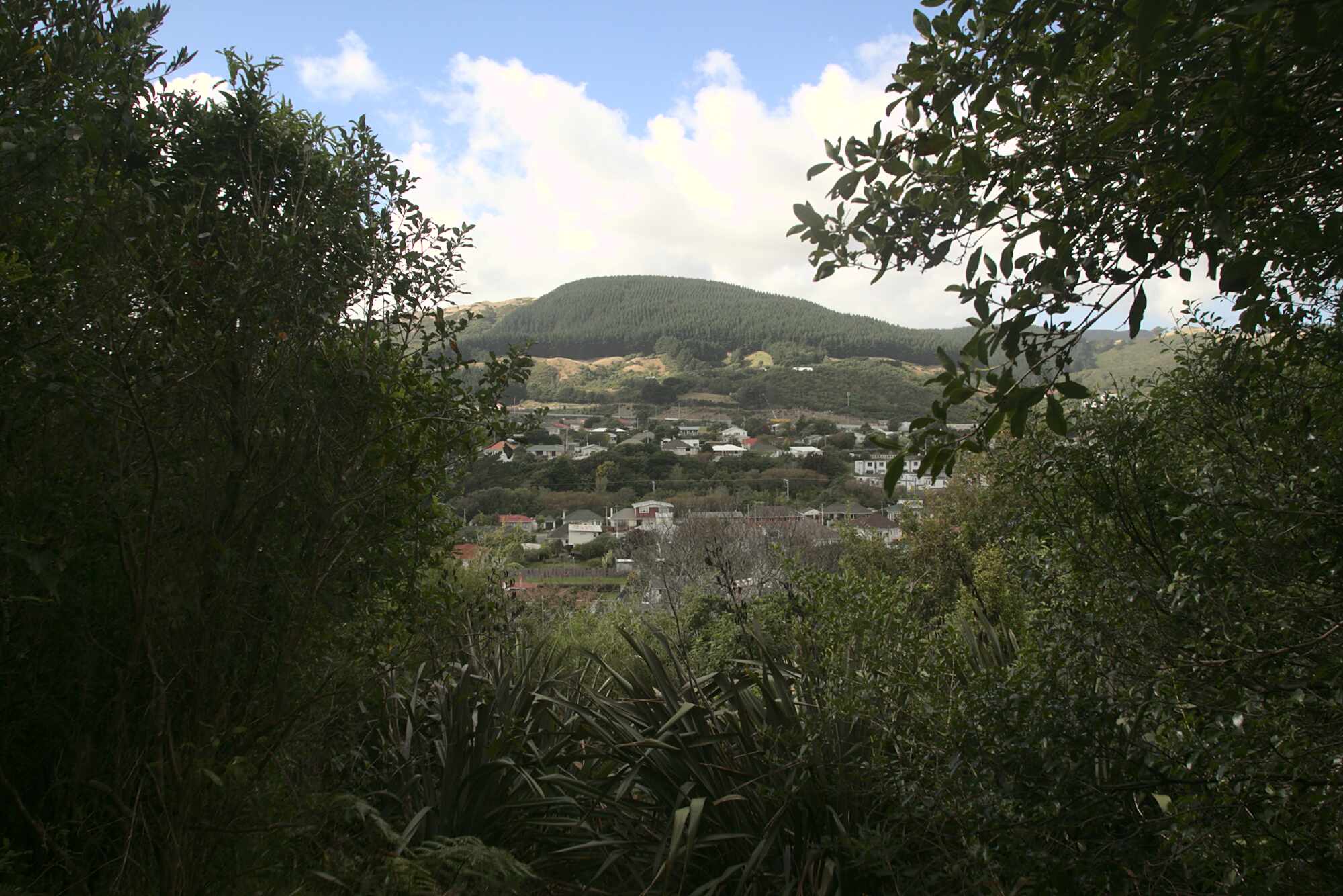 Charles Duncan Reserve view to Mt Robert from lookout seat