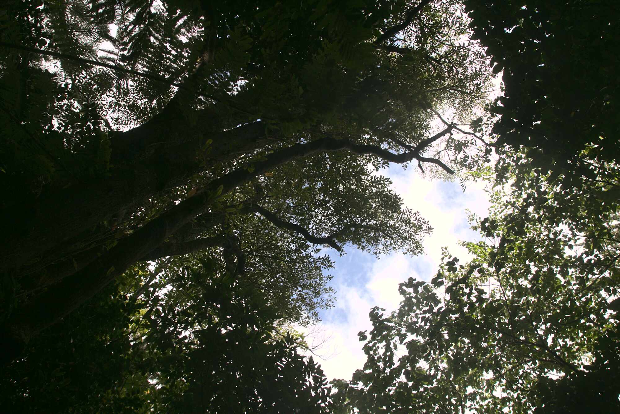 Charles Duncan Reserve