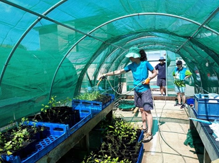 Finished greenhouse, February&nbsp;2021