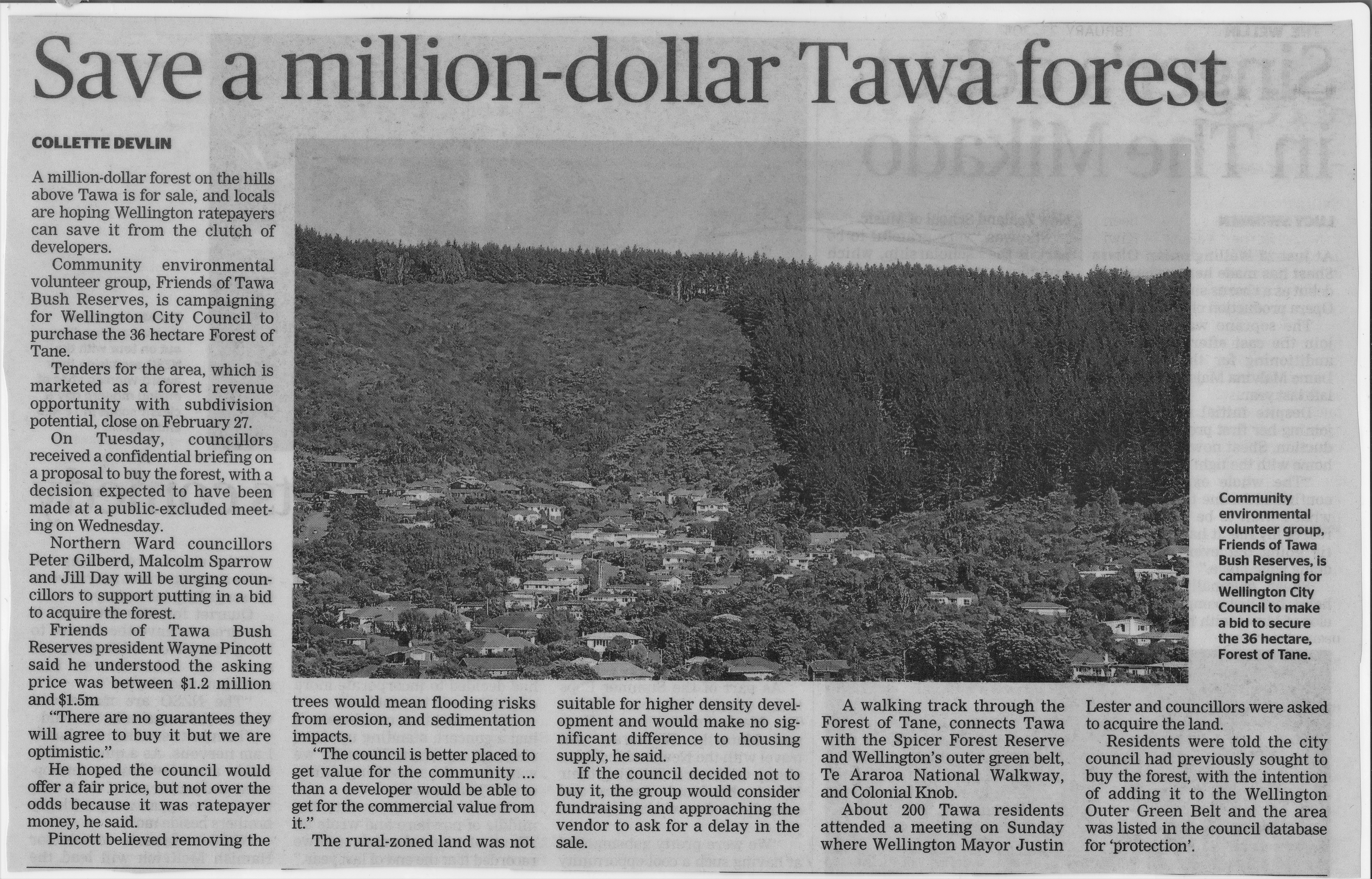 Save a Million-dollar forest media article
