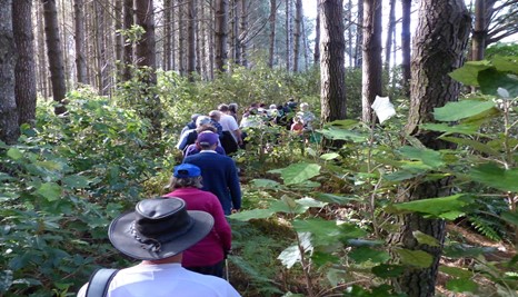Forest of Tawa walking group