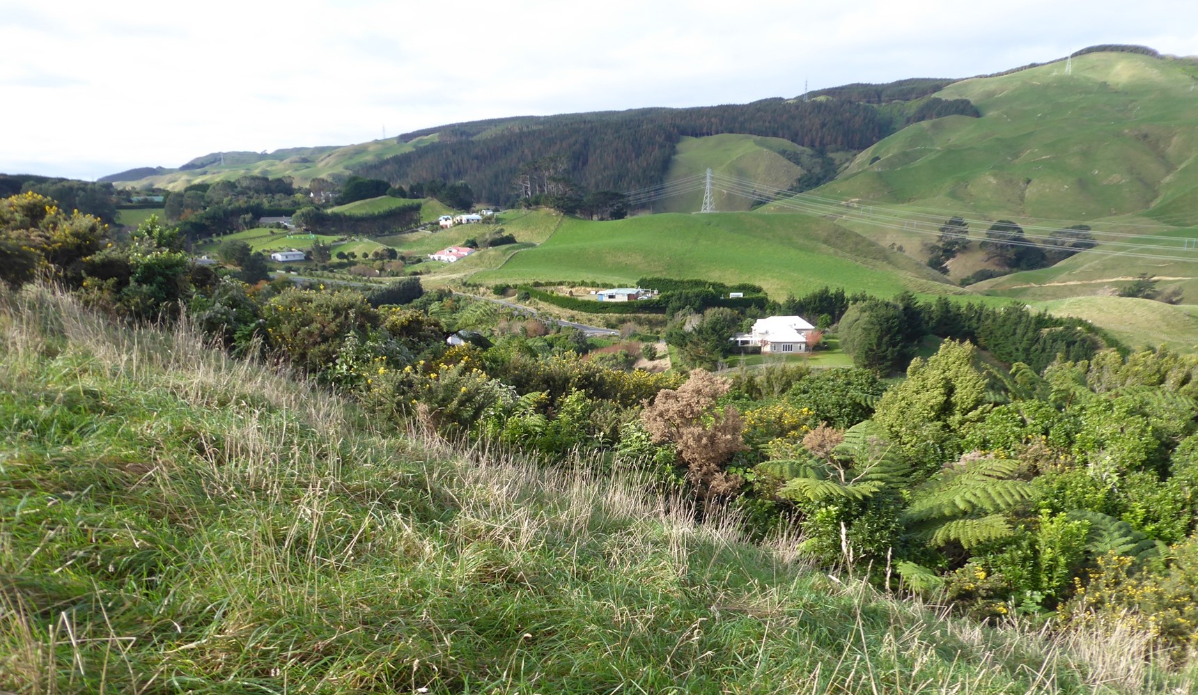 Woodburn Reserve | Friends of Tawa Bush Reserves