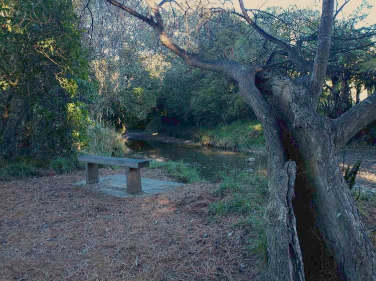 Willowbank Reserve Porirua stream May 2021