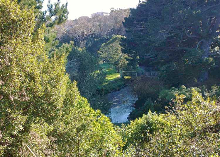 Porirua Stream and Willowbank Reserve May 2021
