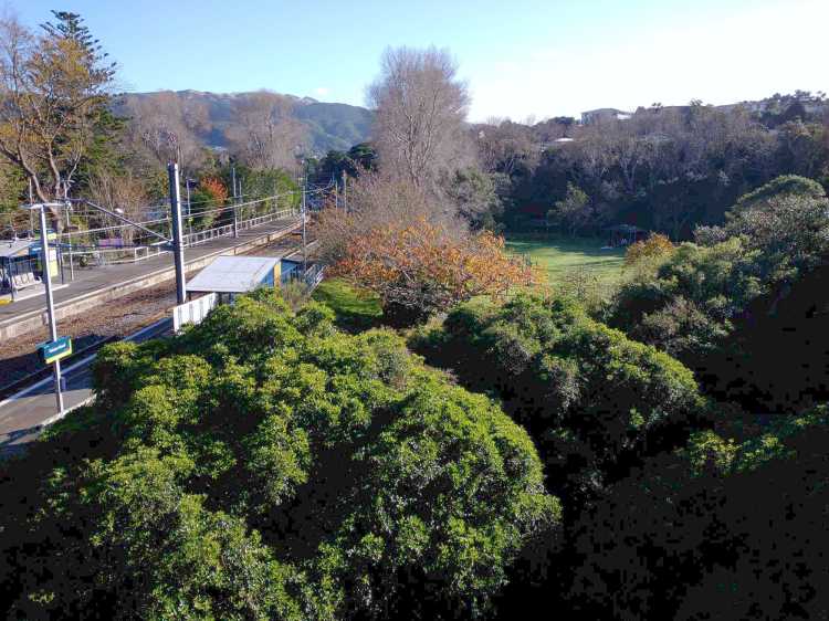 Willowbank Reserve - Takapu Station May 2021