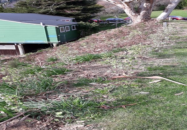 Willowbank Care group - looking toward hall-29-june-2019