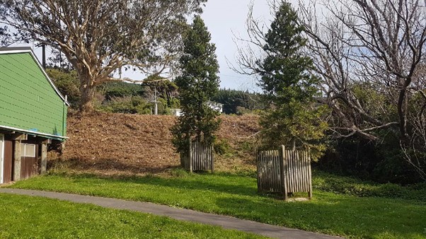 Site after clearing 20-May-2019