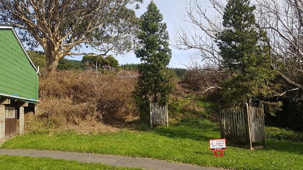 Site following spraying 04-april-2019