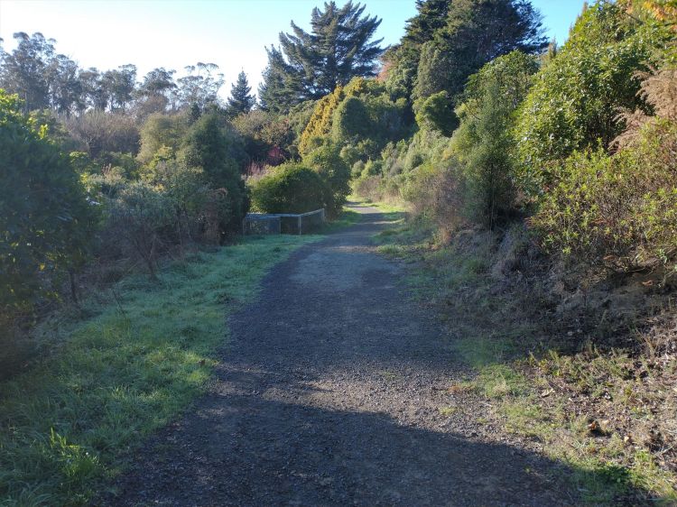 Willowbank 2021_05 path