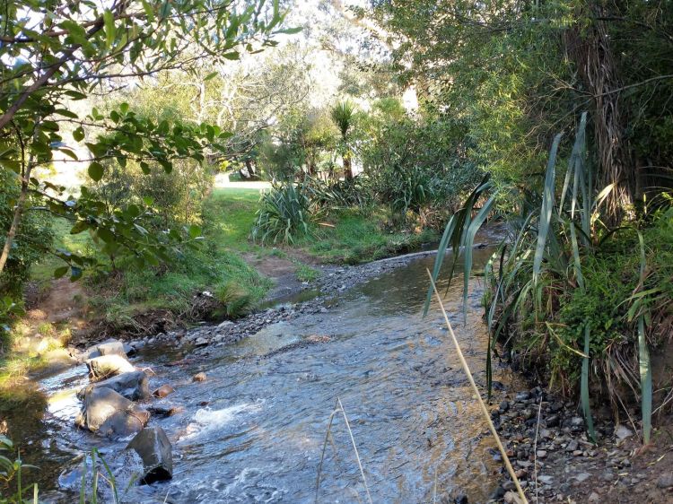 Porirua Stream May 2021
