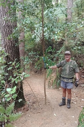 Andrew helping with plant relocation on new Forest of Tawa track