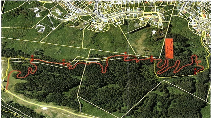 Forest of Tawa new track map May 2021