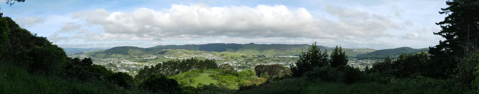 2021-11-26 forest of tawa top view panorama