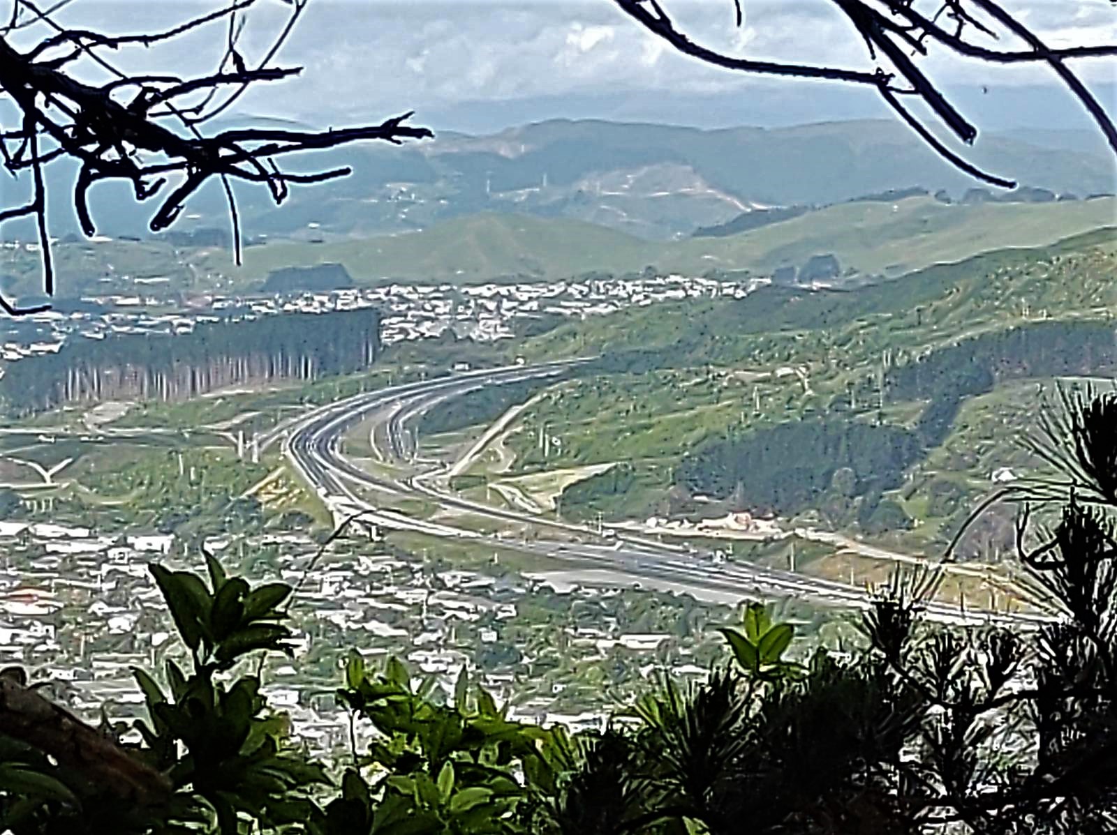 2021-11-26 forest of tawa view to Transmission Gully
