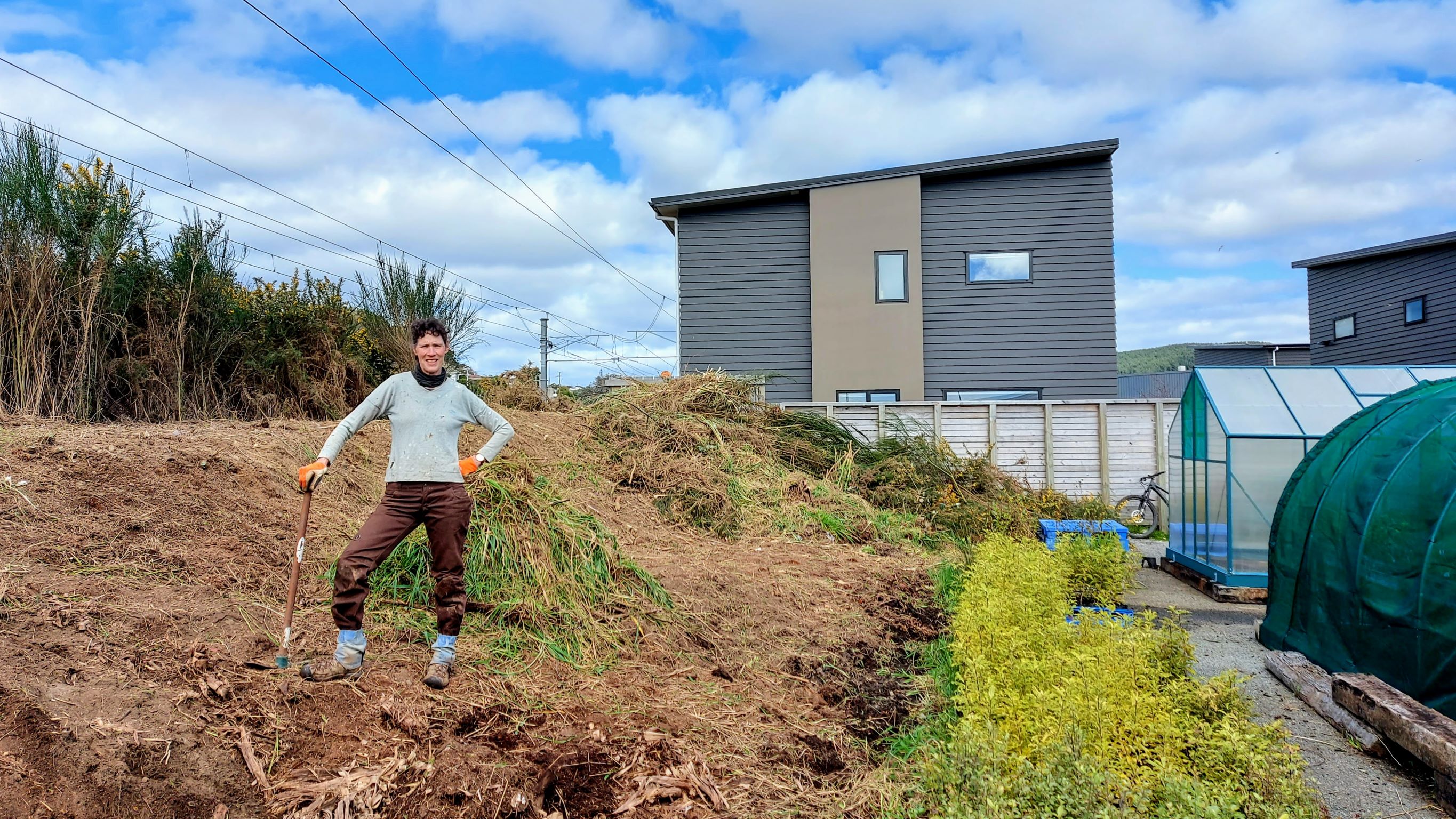 Cleared bank at the nursery Aug 2021