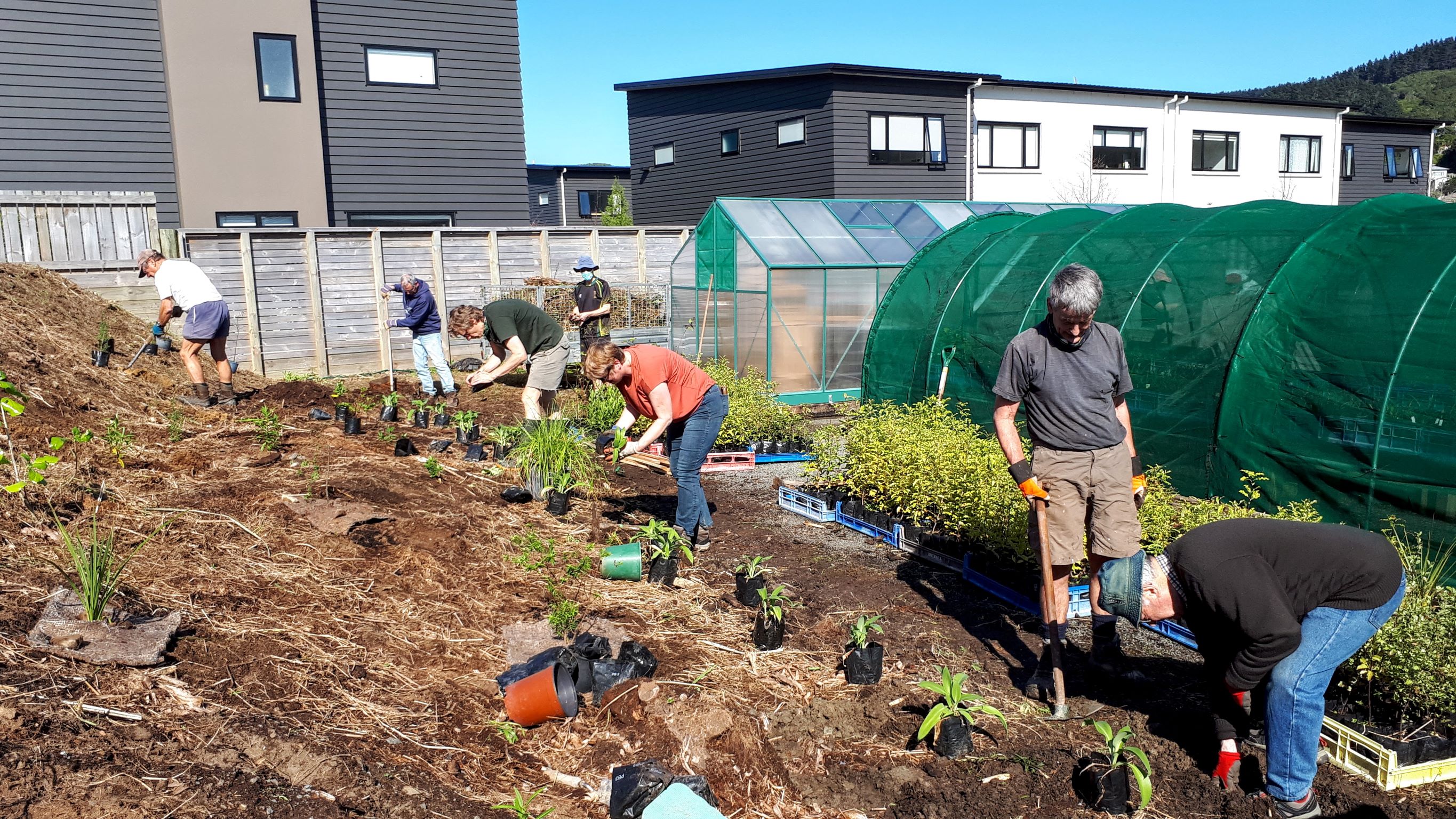 Planting the bank Sep 2021
