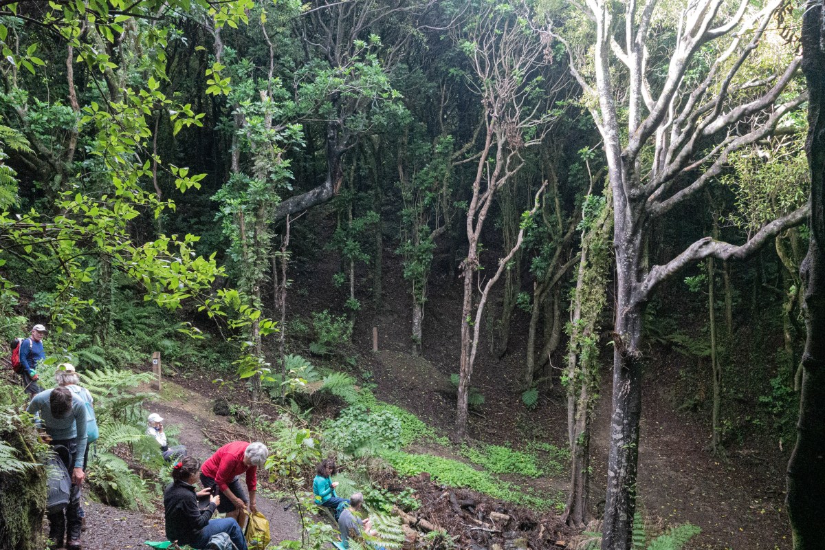 ‘Beating the Bounds’ in Tawa – Tararua Tramping Club hold day walk in Tawa&nbsp;reserves