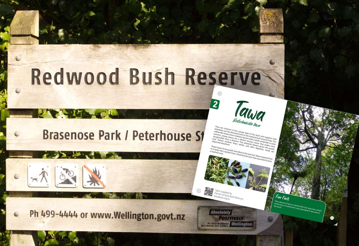 Signed Botanical Walk in Redwood&nbsp;Bush