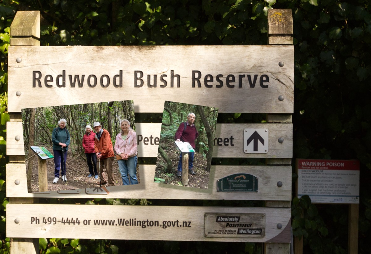 Signed Botanical Walk now open in Redwood&nbsp;Bush