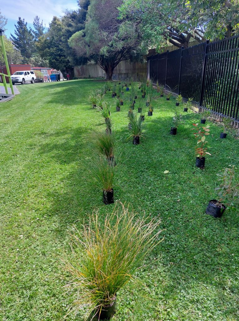 KETE group planting Oct 2022 Greenacres School