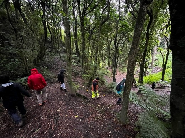 Wilf Mexted seed walk KETE project