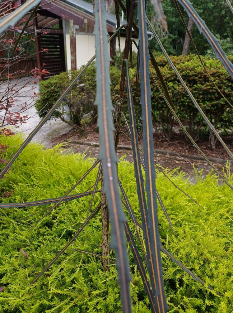 horoeka by amenities