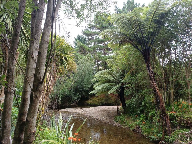 Stream at willowbank reserve
