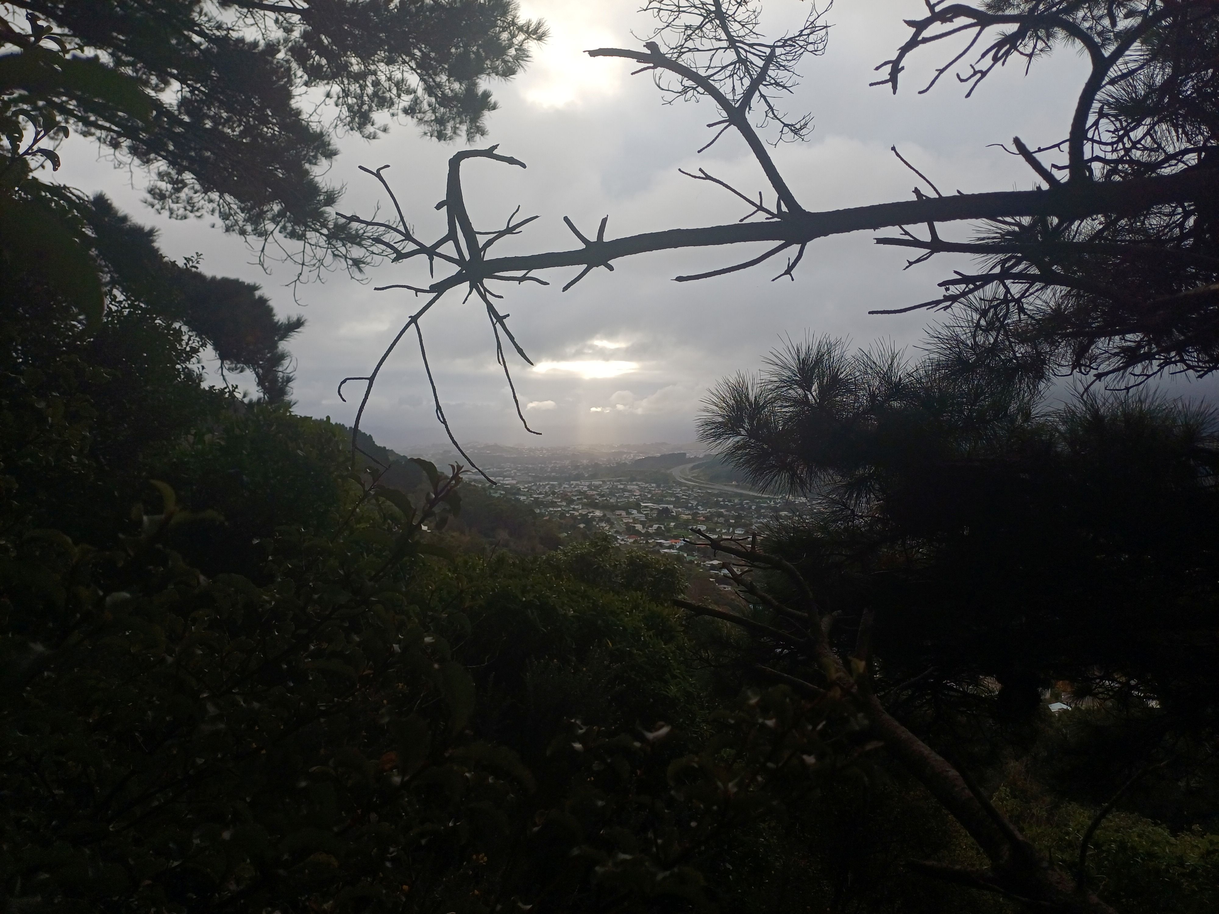 morning view over Tawa