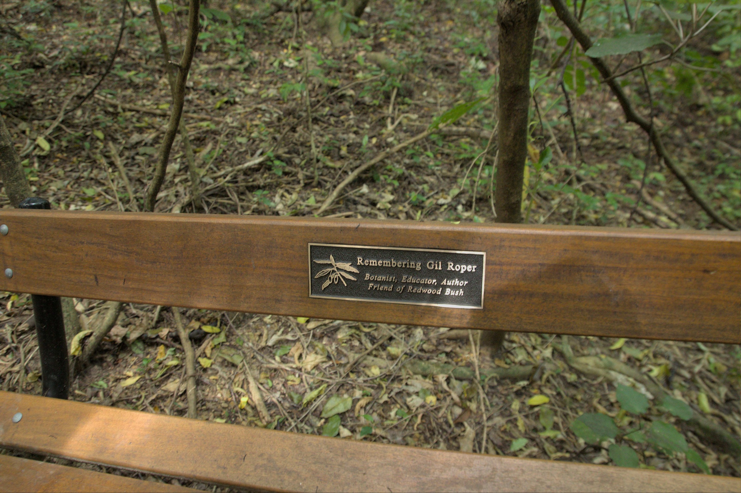 Gil's seat