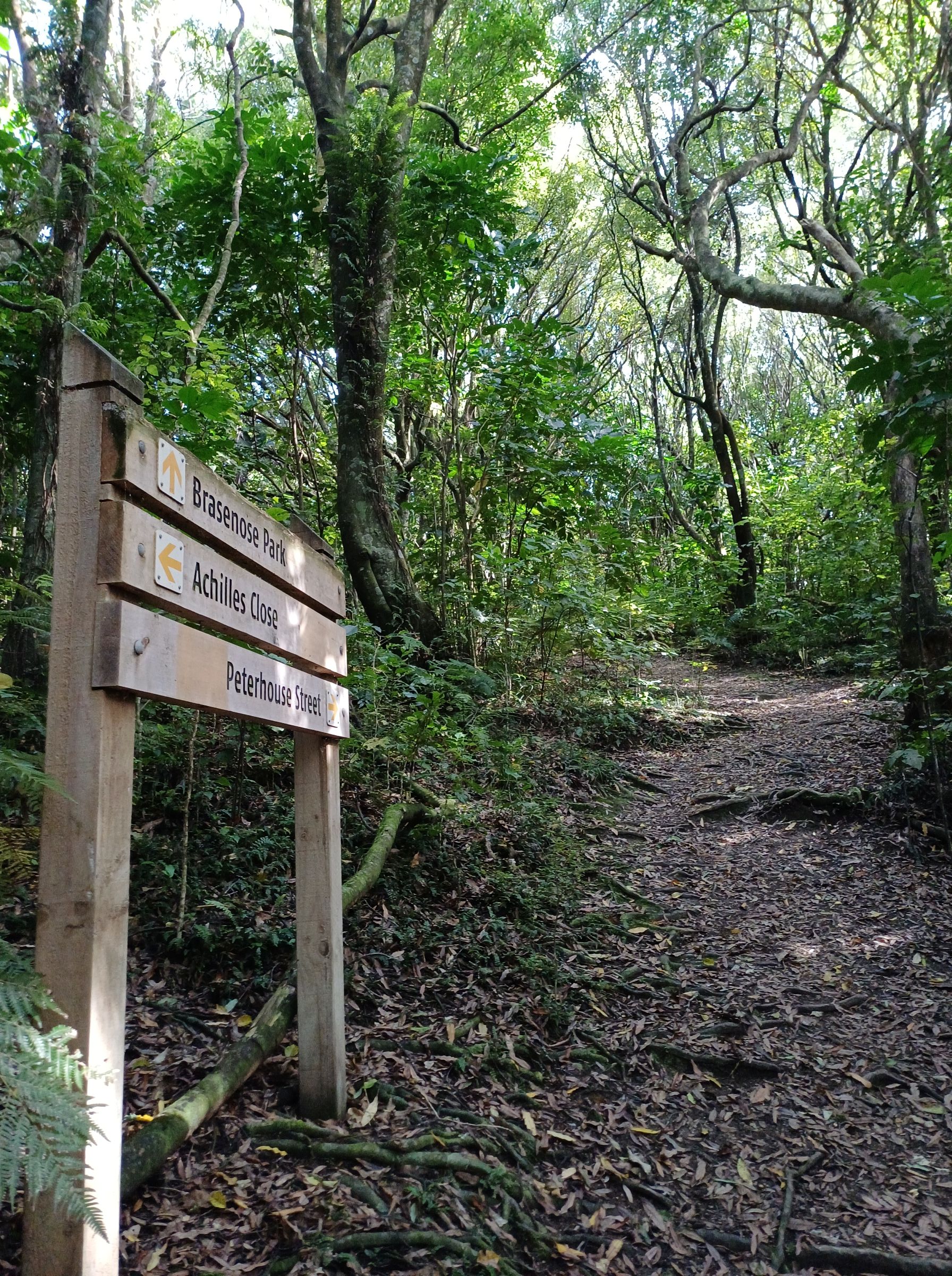Redwood Bush 2025 Path Achilles Brasenose sign