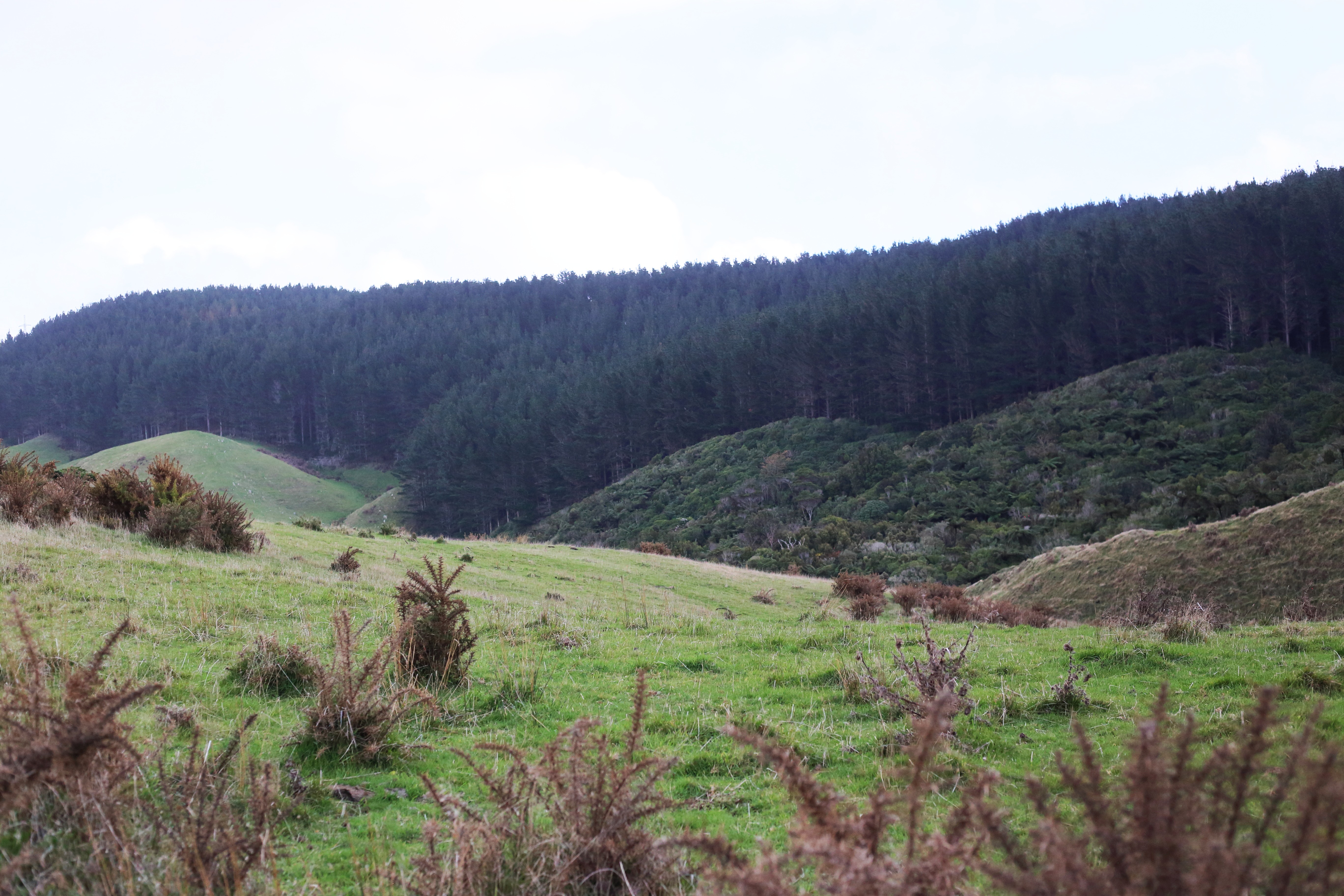 views at top to farmland