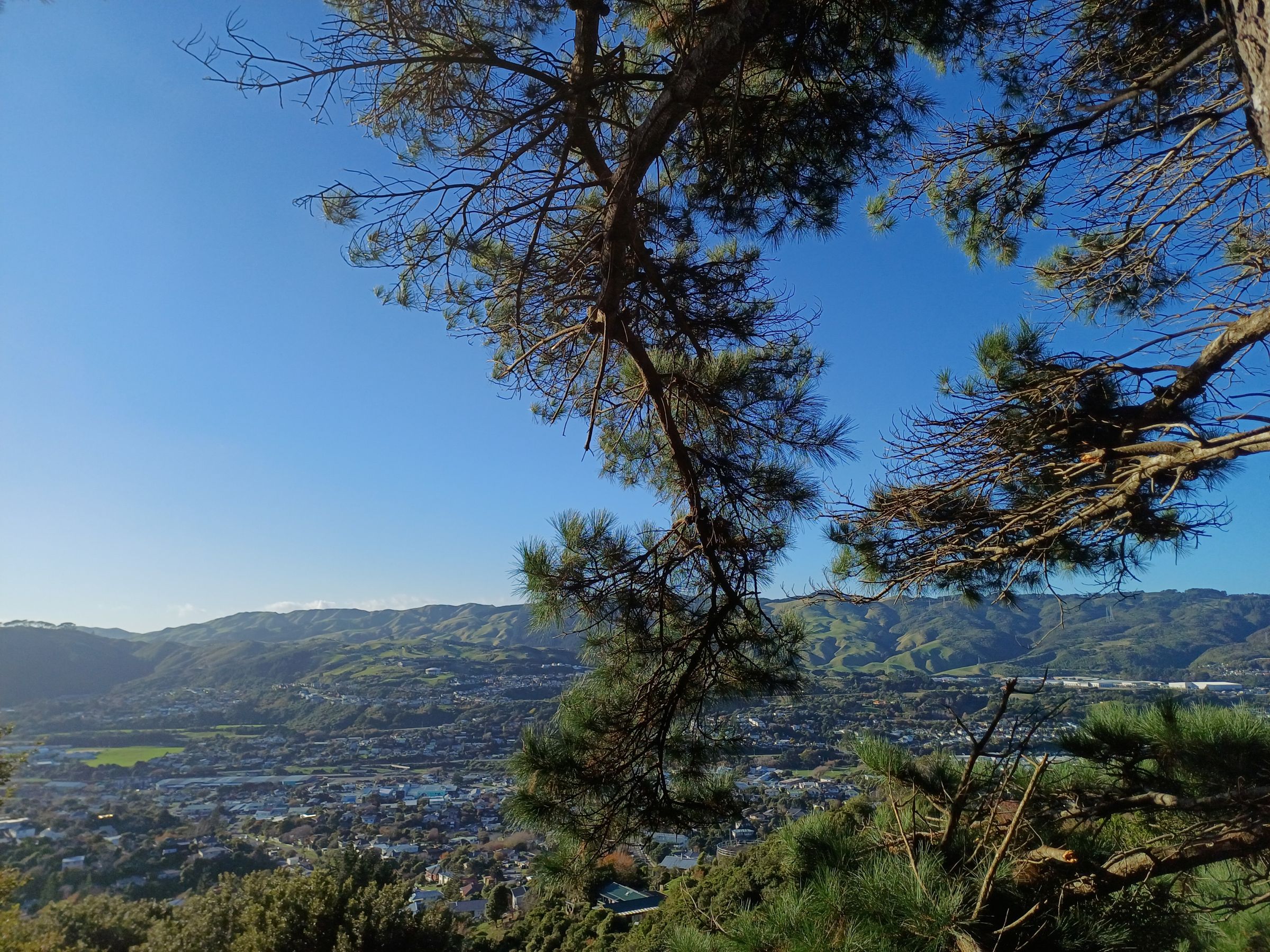 Views to Takapu valley