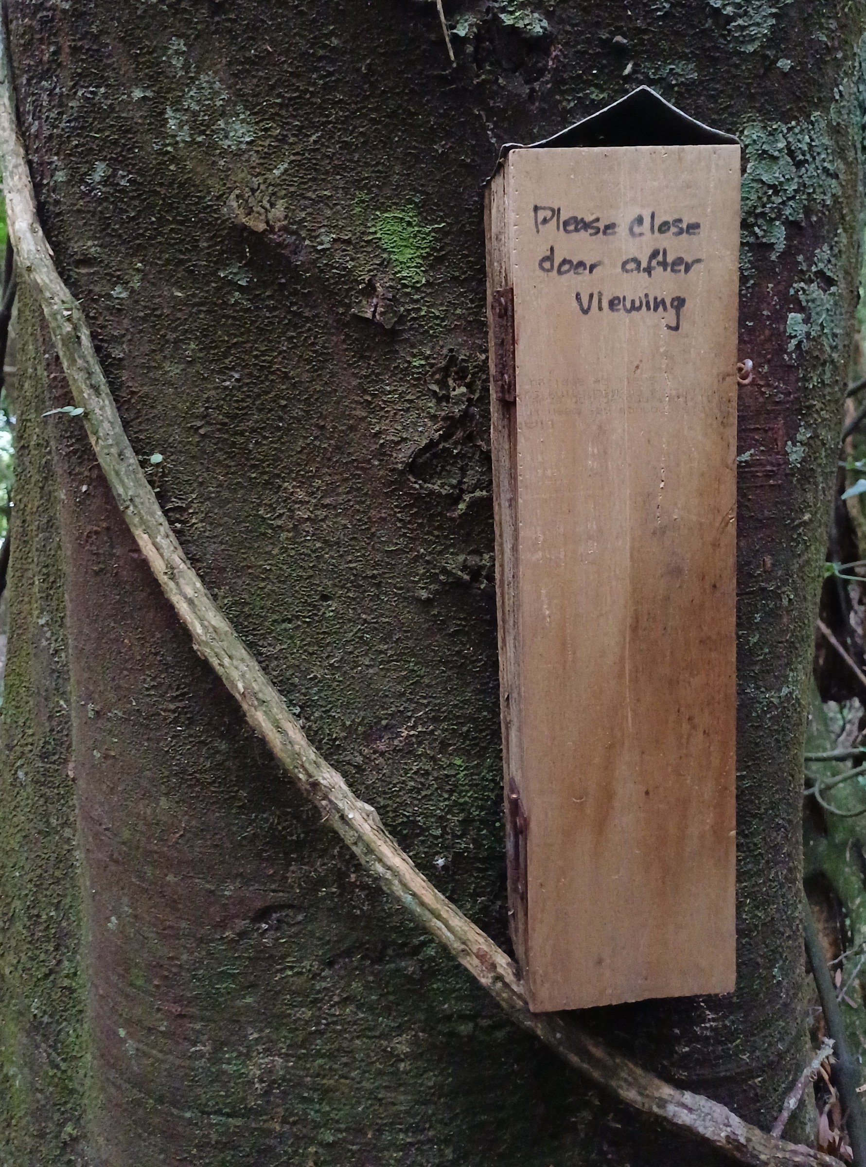 Wētā hotel @ Redwood